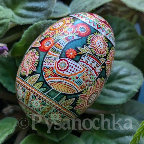 Vero ucraino pysanka - pysanka, goose