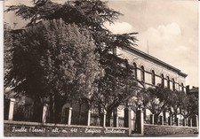 Ficulle  ( TR  ) Edificio scolastico            Rif. n.1