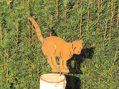 Gatto acciaio inox - in, da