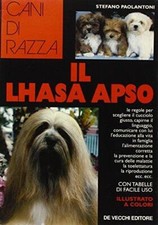 Il lhasa apso
