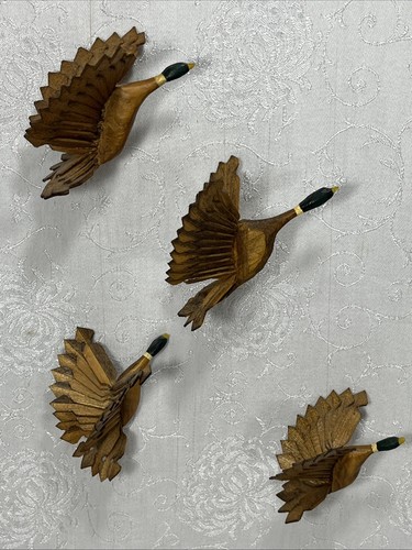 Mallard anatra uccellini - anatra,