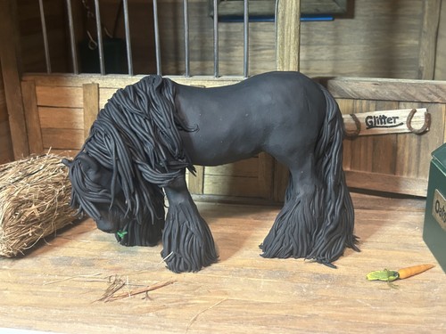Cavallo vanner zingaro nero - cavallo,