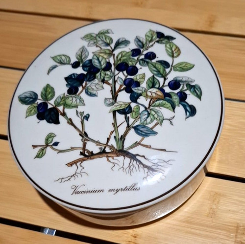 Boîte vitro porcelaine - vitro,