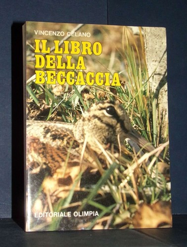 Vincenzo celano il libro - vincenzo,