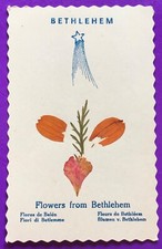 SANTINO HOLY CARD, FIORI DA BETLEMME -RIF. 10253