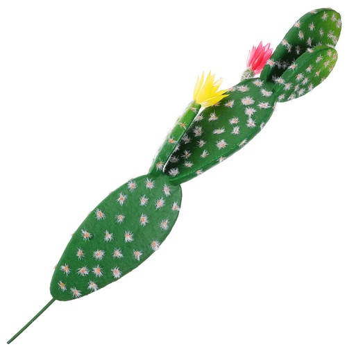 Simulazione cactus - ,