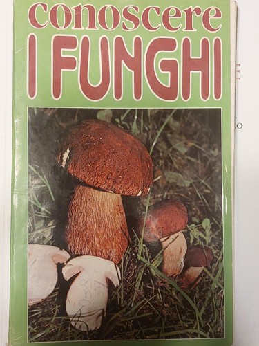 Libro funghi - libro,