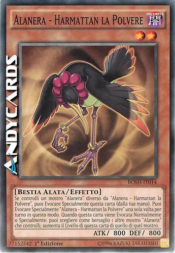 Alanera harmattan la polvere - alanera,