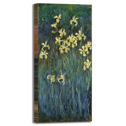 Monet iris giallo design