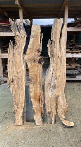 Tavole legno ulivo - tavole,