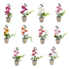 Pianta di Orchidea Artificiale