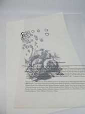 Lotto xilografie - di,