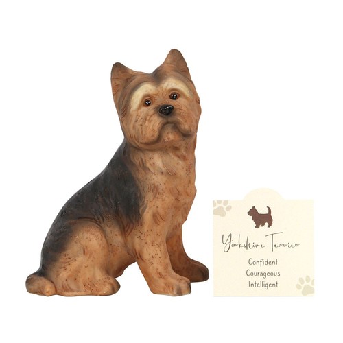 Yorkshire terrier regalo - yorkshire,