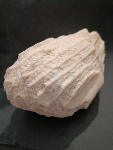 Chunk corallo labirinto - di,