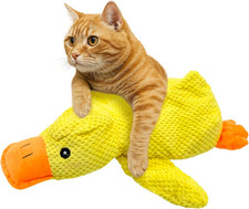 Giocattolo Di Erba Gatta Con