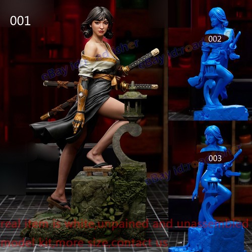Punk samurai lady - 1/4, 1/3