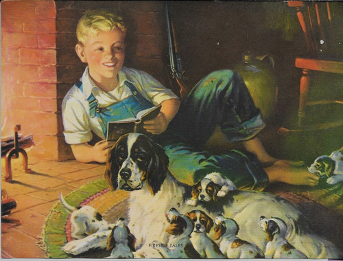 Libro ragazzo caccia cane - libro,