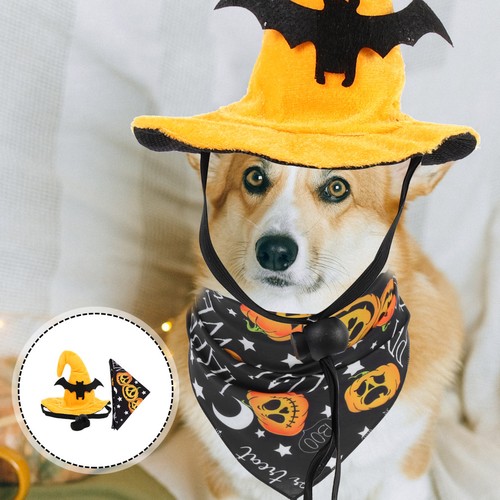 Costume per animali domestici