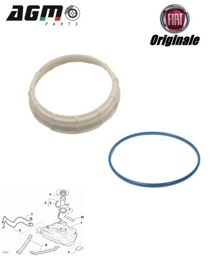 Ghiera anello guarnizione - anello,