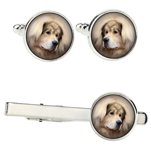 Mastino tibetano set - , di