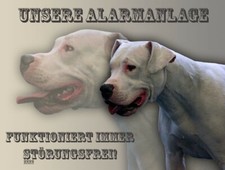 DOGO ARGENTINO cartello di