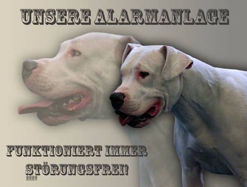 Dogo argentino cartello - dogo,