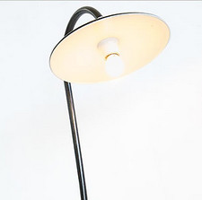 LINEA PIATTO CRUCCOLINI