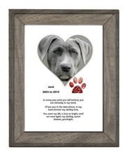 Cornice portafoto ricordo