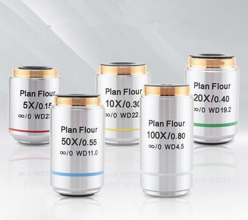 1pz 50 100x - 1pz, 5/10/20/50/100x