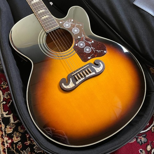 Chitarra elettrica acustica