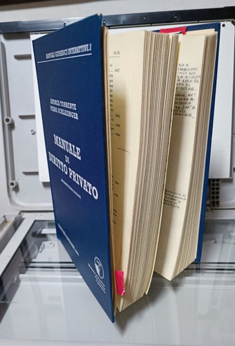 Manuale diritto privato - privato, 17^