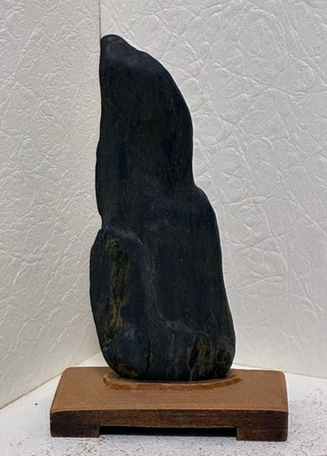 Suiseki giapponese pietra - , da
