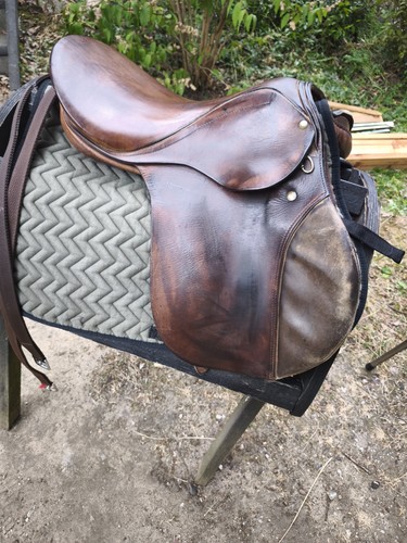Sella pony stuebben - rex, 15