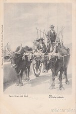 TAORMINA - OX CART - SICILIAN