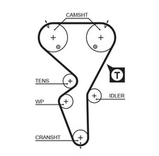 5458XS Gates timing belt for