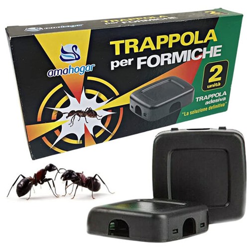 Nido trappola adesiva per - nido,