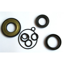 Serie paraolio motore completa