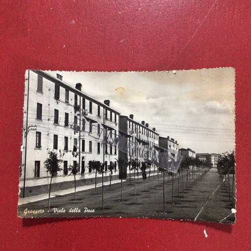Grosseto viale della - grosseto,viale,