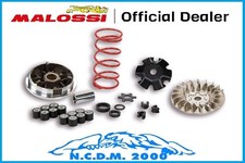 Variator malossi 5113161 - variator,