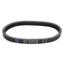 Cinghia di trasmissione