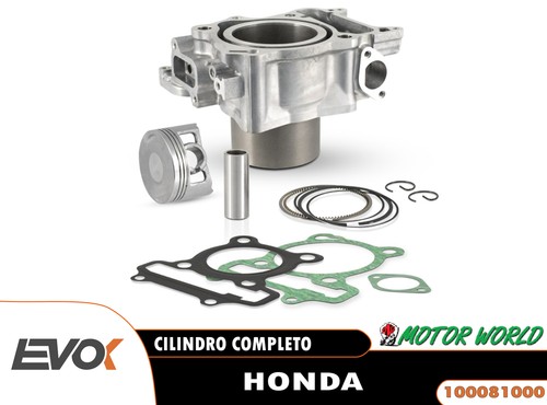 Cilindro evok honda forza 300 - forza,