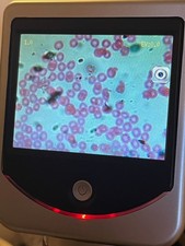 Microscopio digitale Celestron LCD Deluxe con diapositive preparate Celestron.  Usato.