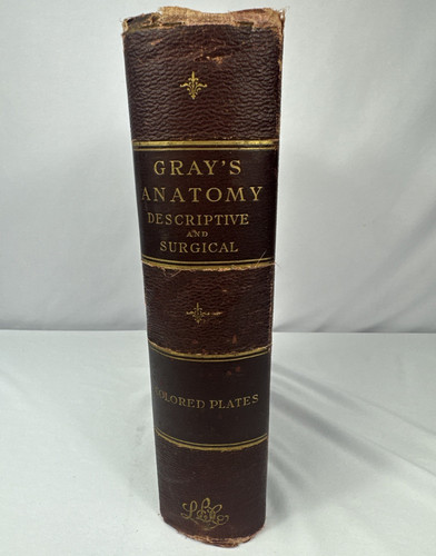 Signed 1901 gray anatomy - 1901,