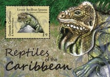 Grenadine 2011 - Rettili