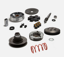 Trasmissione Malossi over