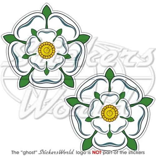 Yorkshire rosa bianca - yorkshire,
