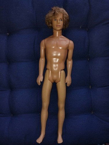 Barbie ken blaine - barbie,