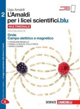 Libro Usato L'Amaldi per i