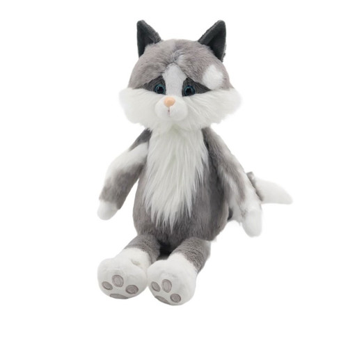 Ragdoll gatto super morbido - gatto,