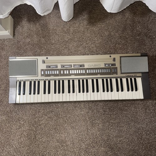 Rara tastiera musicale